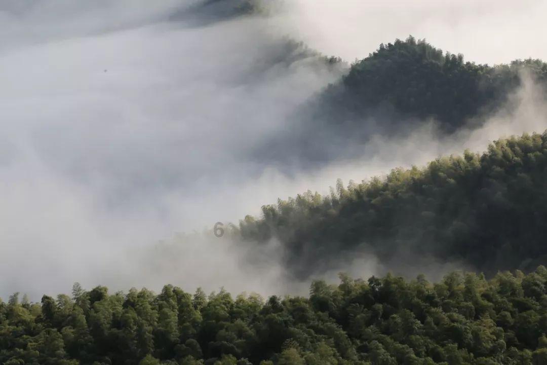 “尔滨”的宾,不一定是“你的宾”